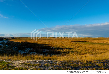 Amazing landscape at the Wadden Sea in St Peter Ording Germany 90699307