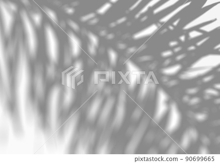 Palm leaf silhouette, image of the southern island 90699665