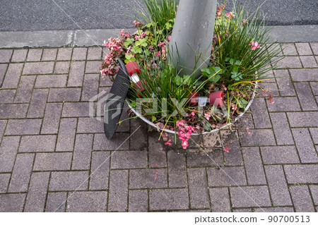 溜冰板 滑板運動 滑板 90700513