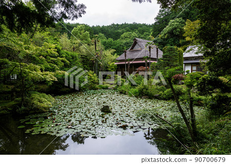 Itajikisan Daikakuji Spring Garden, Garden without a backstory [Ishioka City, Ibaraki Prefecture] 90700679