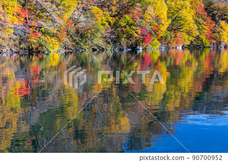 [Oku-Nikko, Tochigi Prefecture] Autumn leaves reflected on the shores of Lake Chuzenji in Senjugahama October 90700952