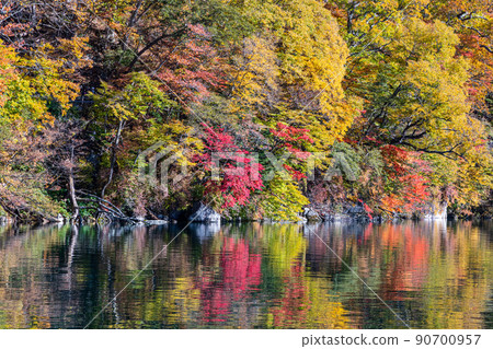 [Oku-Nikko, Tochigi Prefecture] Autumn leaves reflected on the shores of Lake Chuzenji in Senjugahama October 90700957