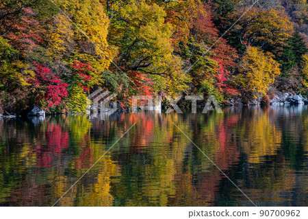 [Oku-Nikko, Tochigi Prefecture] Autumn leaves reflected on the shores of Lake Chuzenji in Senjugahama October 90700962