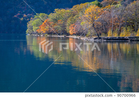[Oku-Nikko, Tochigi Prefecture] Autumn leaves reflected on the shores of Lake Chuzenji in Senjugahama October 90700966