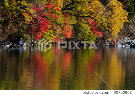 [Oku-Nikko, Tochigi Prefecture] Autumn leaves reflected on the shores of Lake Chuzenji in Senjugahama October 90700968