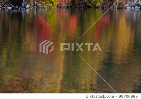 [Oku-Nikko, Tochigi Prefecture] Autumn leaves reflected on the shores of Lake Chuzenji in Senjugahama October 90700969