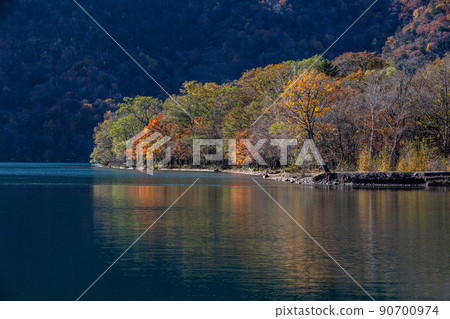 [Oku-Nikko, Tochigi Prefecture] Autumn leaves reflected on the shores of Lake Chuzenji in Senjugahama October 90700974