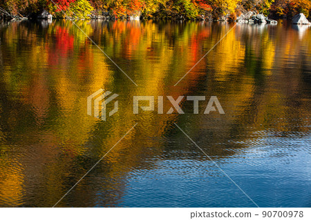 [栃木縣奧日光] 10月千手浜中禪寺湖畔的紅葉倒影 90700978