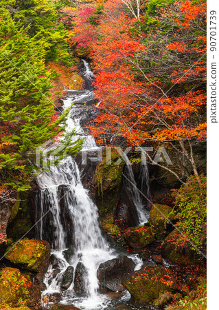 [Oku-Nikko, Tochigi Prefecture] Oku-Nikko Three Famous Waterfalls Ryuzu Falls Autumn Leaves October 90701739