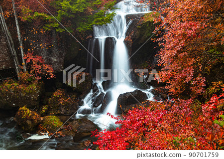 [栃木縣奧日光]奧日光三大名瀑 龍頭瀑布秋葉十月 90701759