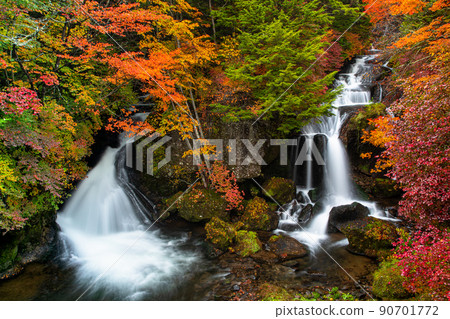 [Oku-Nikko, Tochigi Prefecture] Oku-Nikko Three Famous Waterfalls Ryuzu Falls Autumn Leaves October 90701772