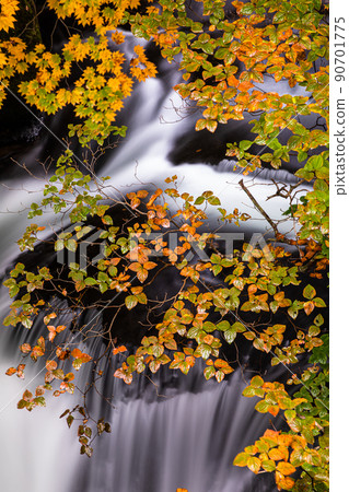 [Oku-Nikko, Tochigi Prefecture] Oku-Nikko Three Famous Waterfalls Ryuzu Falls Autumn Leaves October 90701775