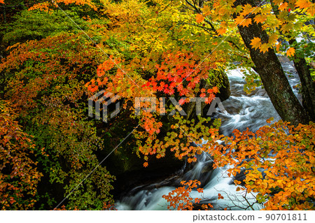 [Oku-Nikko, Tochigi Prefecture] Oku-Nikko Three Famous Waterfalls Ryuzu Falls Autumn Leaves October 90701811