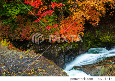 [Oku-Nikko, Tochigi Prefecture] Oku-Nikko Three Famous Waterfalls Ryuzu Falls Autumn Leaves October 90701812