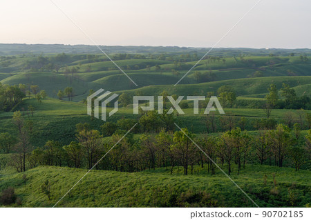 《Kumamoto Prefecture》 Oshitoishi Hill Dawn and Asagiri 90702185