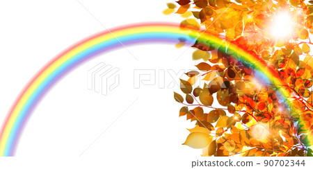 秋葉楓彩虹背景 90702344
