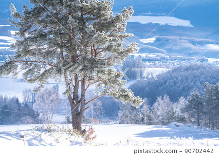 《北海道》上富良野的雪景,千望峠觀 《北海道》上富良野的雪景,千望峠觀 90702442