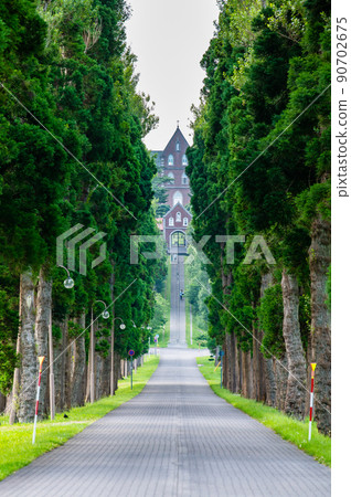 Hokuto City, Hokkaido Trappist Monastery-Cedar Avenue of Nikko- Hokuto City, Hokkaido Trappist Monastery-Cedar Avenue of Nikko- 90702675