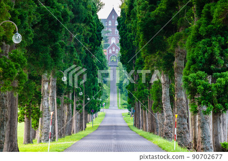 Hokuto City, Hokkaido Trappist Monastery-Cedar Avenue of Nikko- 90702677