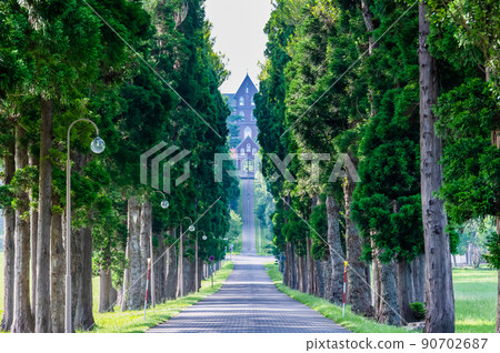 北海道北斗市特拉普修道院-日光雪松大道- 北海道北斗市特拉普修道院-日光雪松大道- 90702687