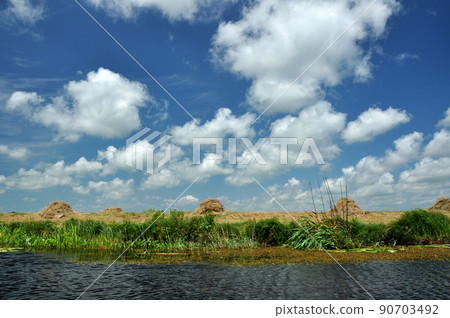 Landscape in the Danube delta, Romania 90703492