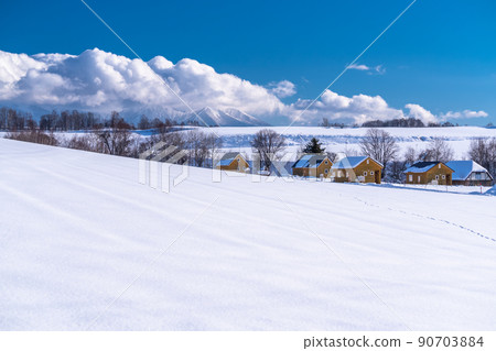《北海道》美瑛之丘/大雪原 90703884