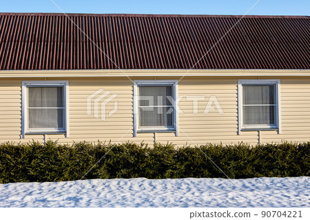 Hedge of fir trees grows near house in village during winter. Hedge of fir trees grows near house in village during winter. 90704221