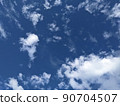 Blue sky Okinawa 90704507