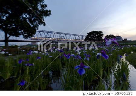 穿過盛開的小岩菖蒲園的京成電鐵 90705125
