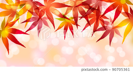 Autumn leaves maple autumn background Autumn leaves maple autumn background 90705361