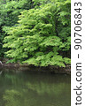Blue maple reflected in Furuike 90706843