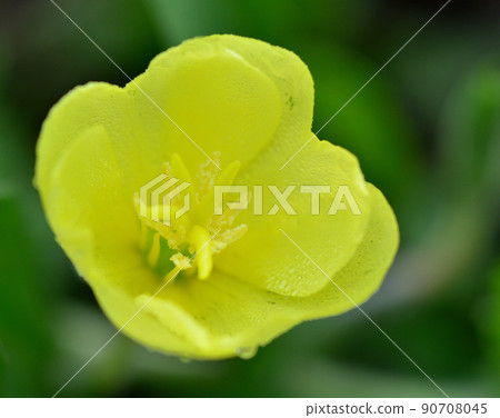 Affiliation 90708045