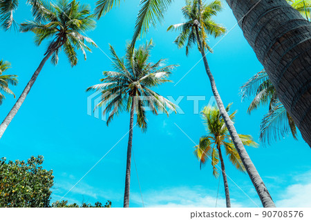 coconut trees and tropical sea beach in summer 90708576