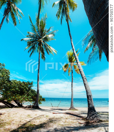 coconut trees and tropical sea beach in summer 90708577