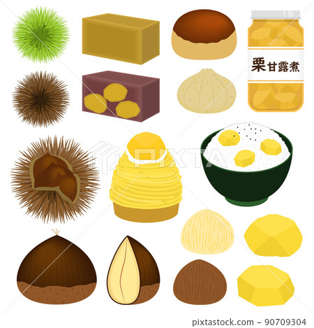 Chestnut illustration set Chestnut illustration set 90709304
