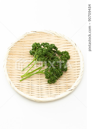 Parsley white background Parsley white background 90709484