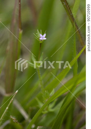 Hana ya Emuru Hana ya Emuru 90710999