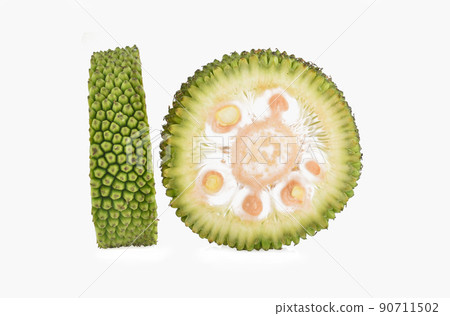 jackfruit isolated on white background jackfruit isolated on white background 90711502
