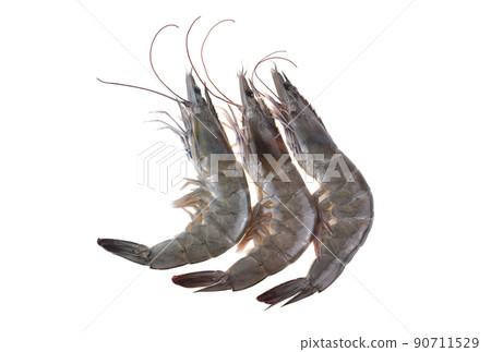 Fresh shrimps,prawns isolated on white background 90711529