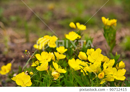 Original landscape of the field Original landscape of the field 90712415