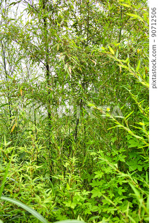 Original landscape of the field Original landscape of the field 90712506