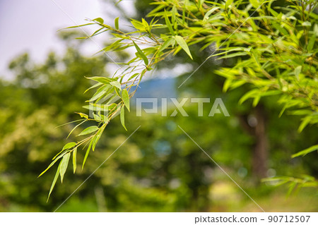 Original landscape of the field 90712507