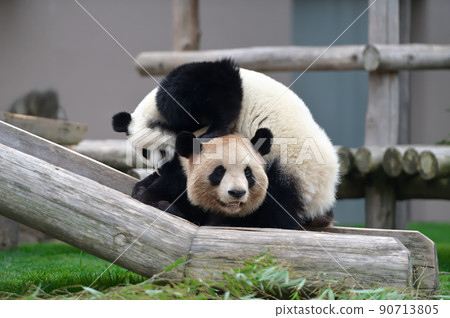吉濱媽媽和楓浜一起玩 吉濱媽媽和楓浜一起玩 90713805