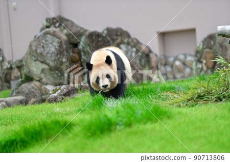 吉濱朝這邊走來 吉濱朝這邊走來 90713806