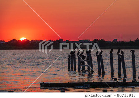 Beautiful red and orange sunset over the sea. The sun goes down over the sea. A flock of cormorants sits on a old sea pier in orange sunset light 90713915