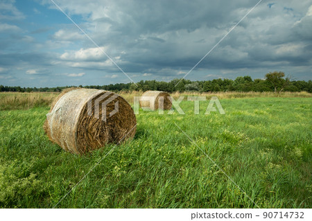 Straw bale in meadow and cloudy sky 90714732