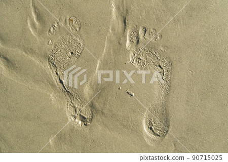 footsteps on beach in sandy. Footsteps on the coral sandy beach. footprints in the sand. footsteps on beach in sandy. Footsteps on the coral sandy beach. footprints in the sand. 90715025