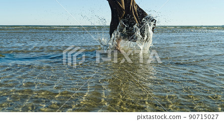 nice legs of a pretty girl walking in water. woman legs, walking on the beach. Legs of a beautiful young girl who runs towards the ocean. Water splashes out nice legs of a pretty girl walking in water. woman legs, walking on the beach. Legs of a beautiful young girl who runs towards the ocean. Water splashes out 90715027