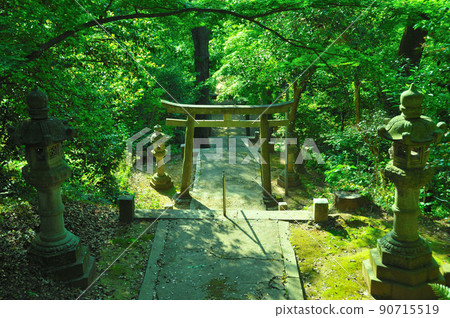Torii of a shrine in the mountains Torii of a shrine in the mountains 90715519