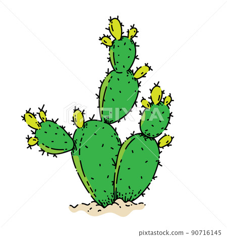 bunny ears cactus sketch hand drawn vector 90716145